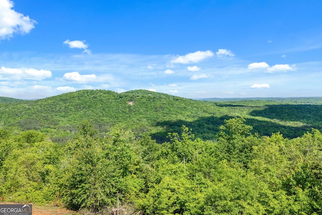 view of mountain backdrop featuring a heavily wooded area