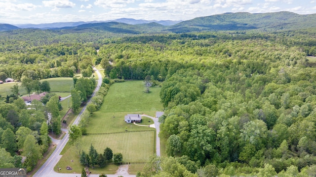 aerial view of a forest and a mountain backdrop