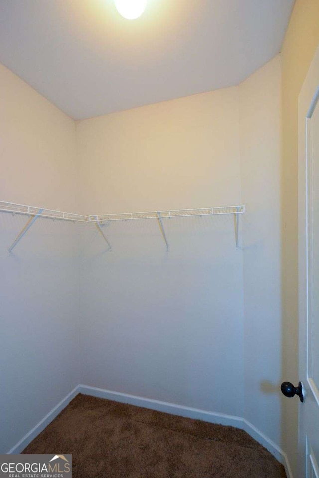 walk in closet with carpet floors