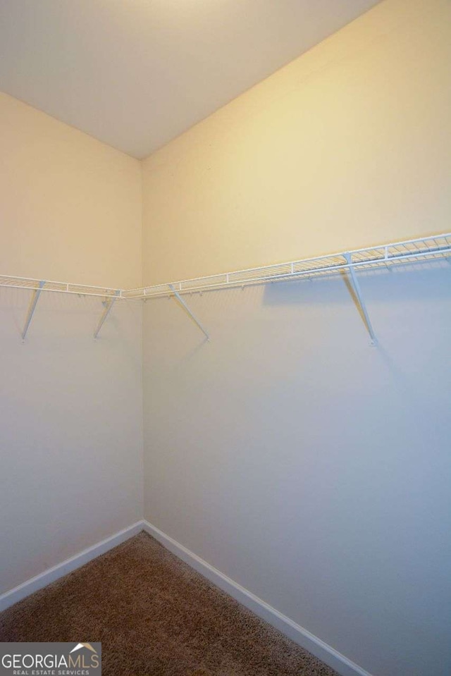 spacious closet with carpet