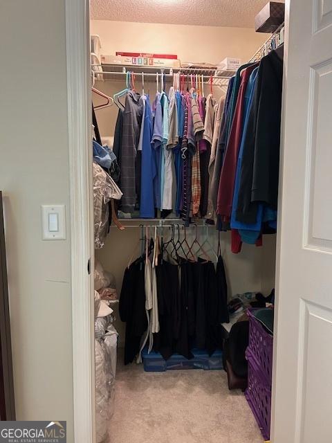1009 Hunters Pointe Dr, Statesboro, GA 30461 - walk in closet with carpet flooring