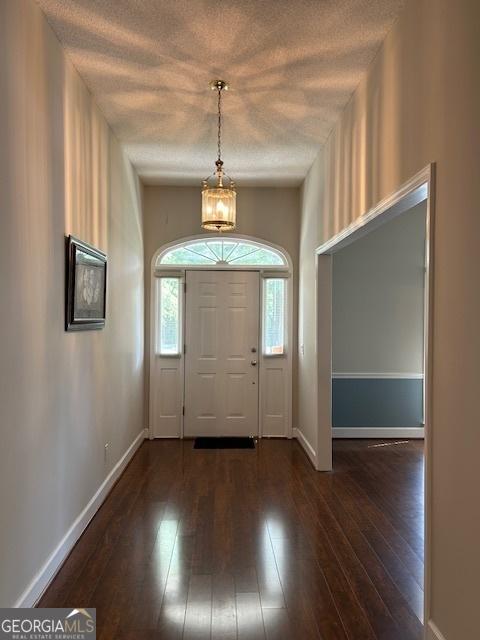 1009 Hunters Pointe Dr, Statesboro, GA 30461 - entrance foyer with healthy amount of natural light, hardwood / wood-style flooring, baseboards, and a textured ceiling