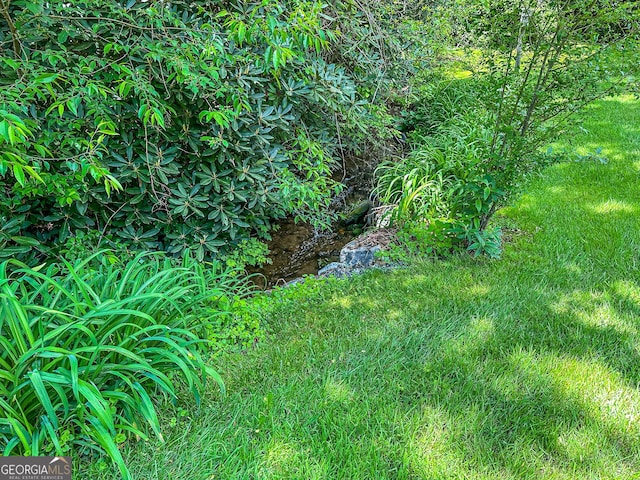 30 Putter Ln, Dillard, GA 30537 - view of nature