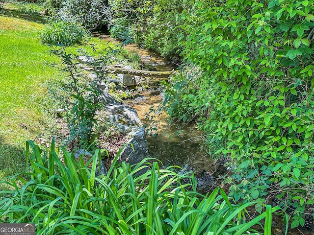 30 Putter Ln, Dillard, GA 30537 - view of local wilderness