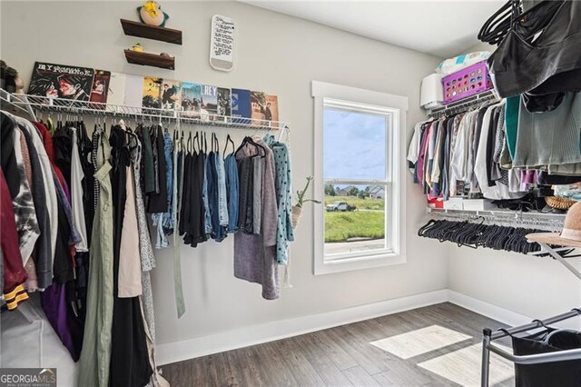 166 Wagon Trail Cir, Fairmount, GA 30139 - spacious closet with wood finished floors