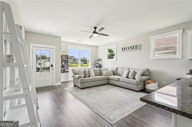 living area with a ceiling fan and wood finished floors