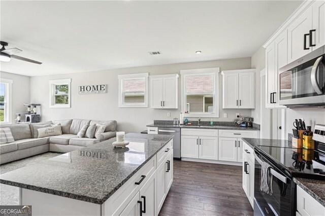 166 Wagon Trail Cir, Fairmount, GA 30139 - kitchen featuring appliances with stainless steel finishes, open floor plan, white cabinets, and recessed lighting
