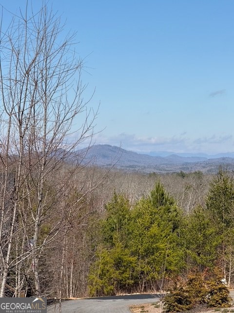 LOT11 Long View Ln, Blue Ridge, GA 30513