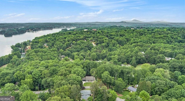 788 Sherwood Rd, Gainesville, GA 30501 - bird's eye view of a forest and a nearby body of water