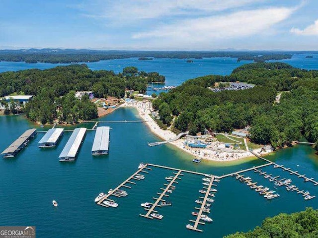 788 Sherwood Rd, Gainesville, GA 30501 - bird's eye view of a nearby body of water and a marina