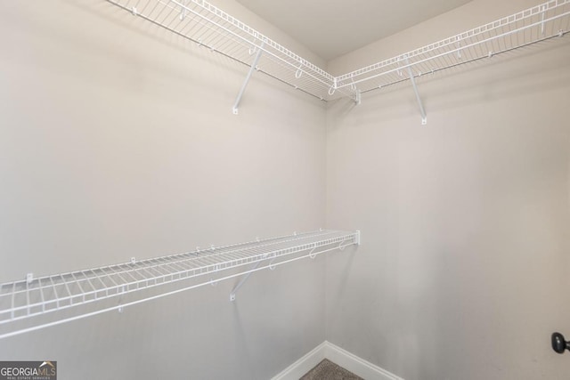 view of walk in closet
