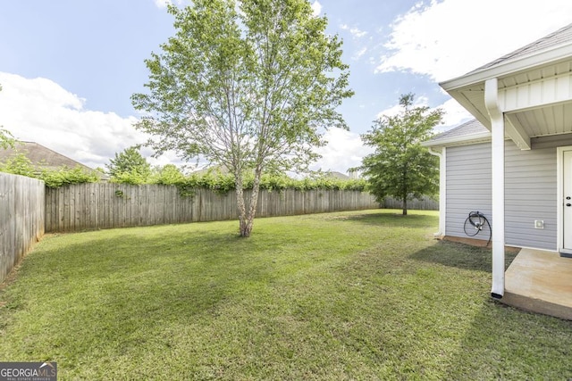 view of yard
