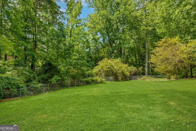 1380 Heritage Glen Dr, Marietta, GA 30068 - view of yard