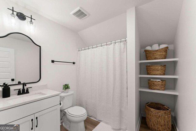 1087 Webb W Rd, Cleveland, GA 30528 - full bath with lofted ceiling, toilet, vanity, and curtained shower