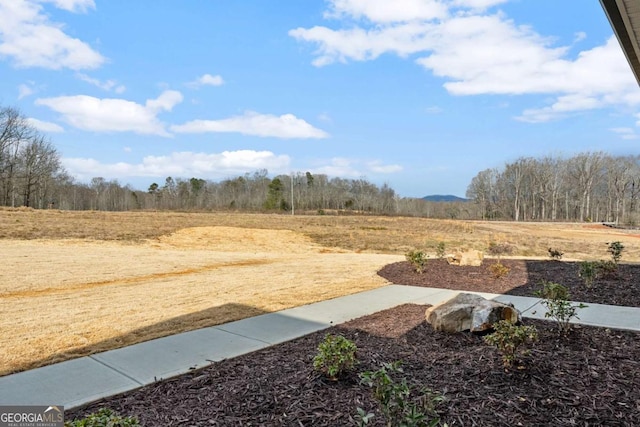 1087 Webb W Rd, Cleveland, GA 30528 - view of yard with a view of rural / pastoral area