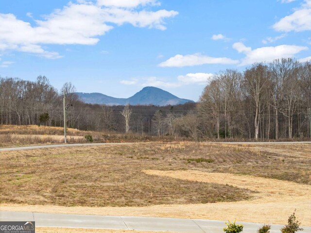 1087 Webb W Rd, Cleveland, GA 30528 - mountain view