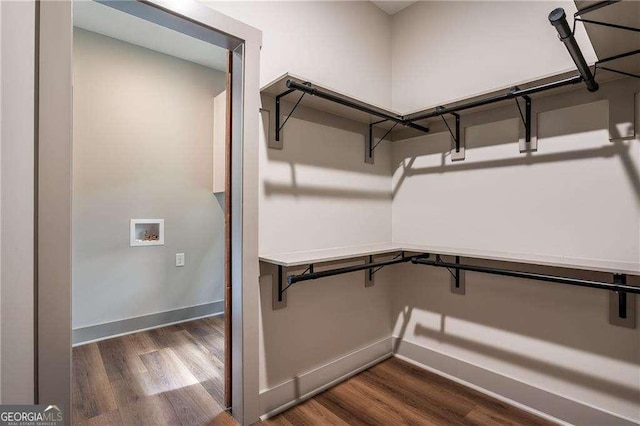spacious closet featuring dark wood-type flooring