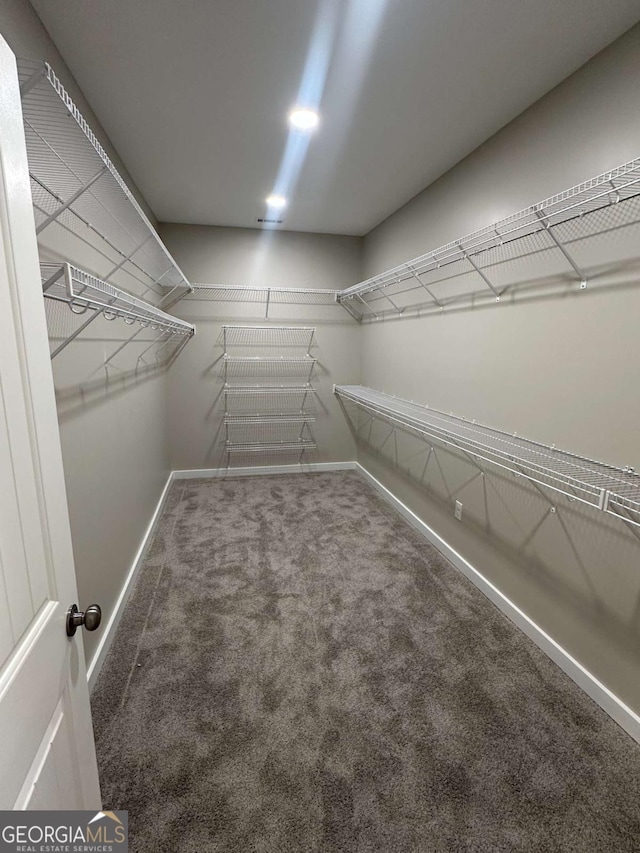 113 Sidetrack Cir, Comer, GA 30629 - spacious closet featuring carpet floors