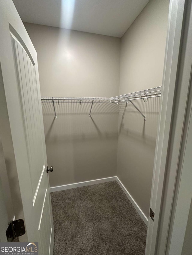113 Sidetrack Cir, Comer, GA 30629 - spacious closet featuring carpet flooring
