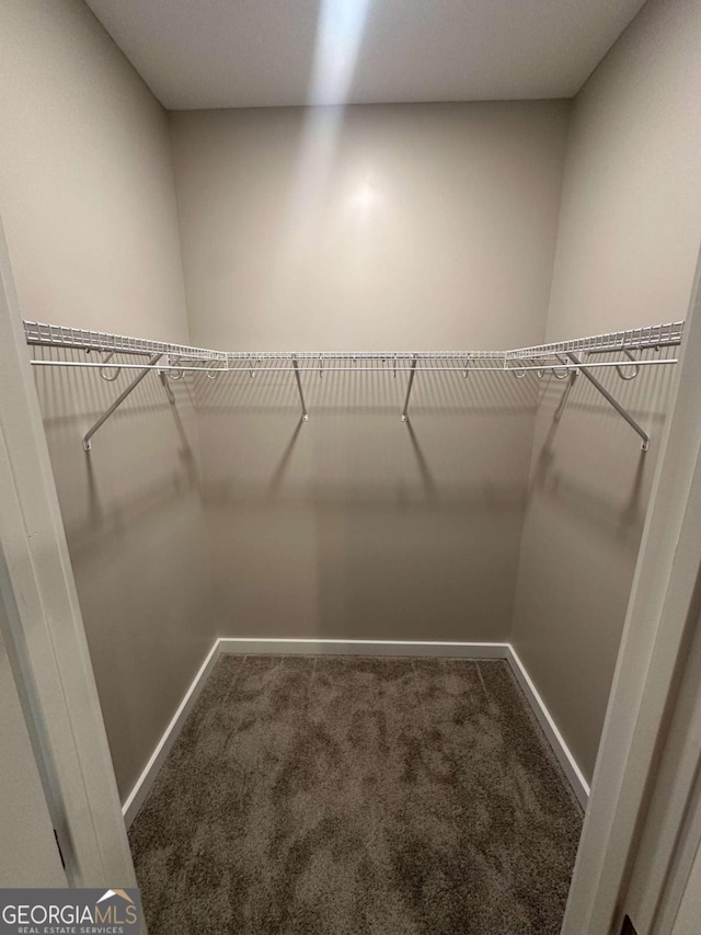 113 Sidetrack Cir, Comer, GA 30629 - walk in closet with carpet flooring