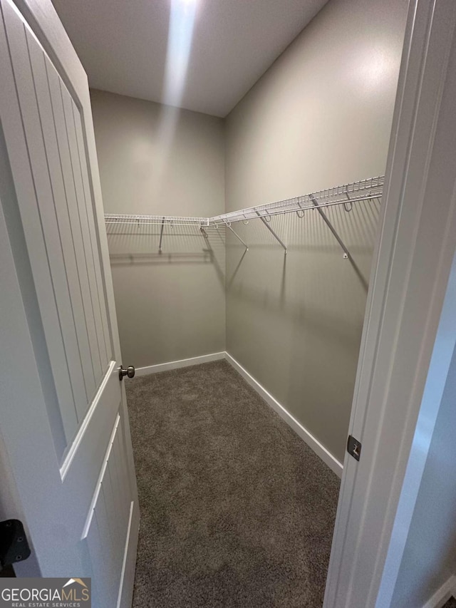113 Sidetrack Cir, Comer, GA 30629 - spacious closet with carpet flooring