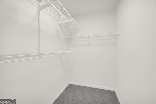 1645 Cobbs Creek Ln, Decatur, GA 30032 - spacious closet with carpet