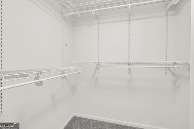 1645 Cobbs Creek Ln, Decatur, GA 30032 - walk in closet with carpet