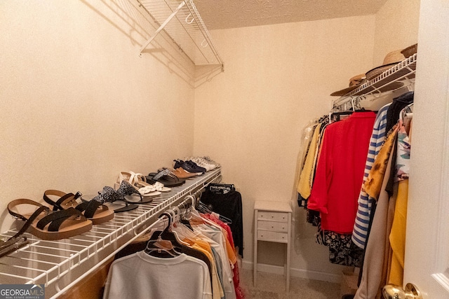 view of walk in closet