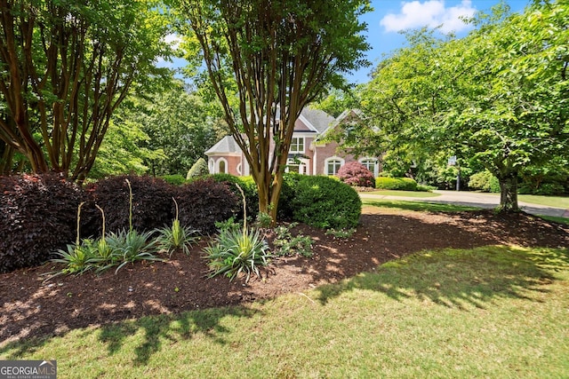 view of green lawn