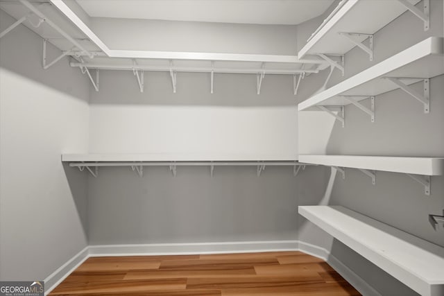 spacious closet featuring wood finished floors