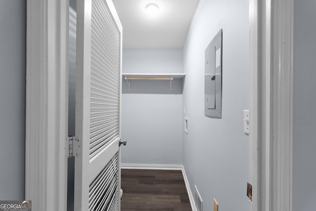 walk in closet with wood finished floors and electric panel