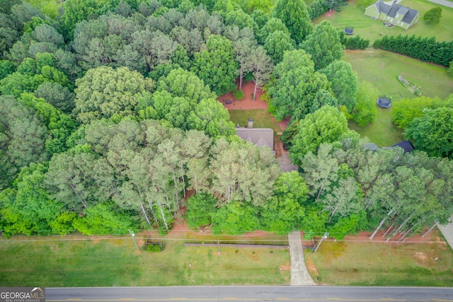 drone / aerial view of a forest