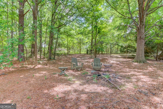 view of yard featuring a wooded view