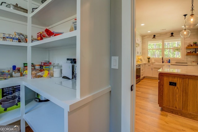 pantry with a sink