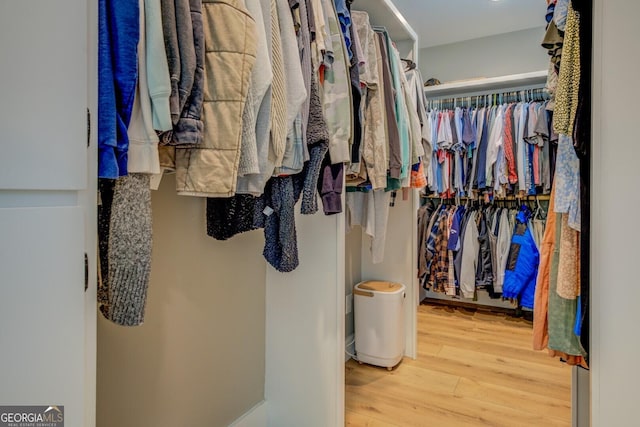 walk in closet with wood finished floors
