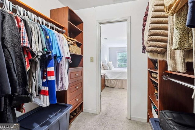 spacious closet featuring carpet