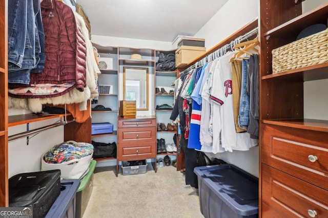 spacious closet with carpet floors