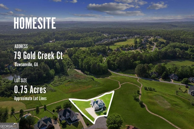 79 Gold Creek Ct, Dawsonville, GA 30534 - bird's eye view of a forest