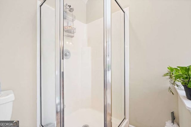 bathroom with a stall shower and toilet