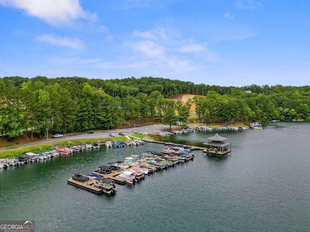aerial view of a nearby body of water and a heavily wooded area