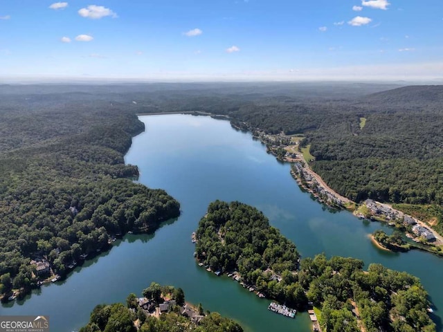 bird's eye view of a heavily wooded area and a large body of water