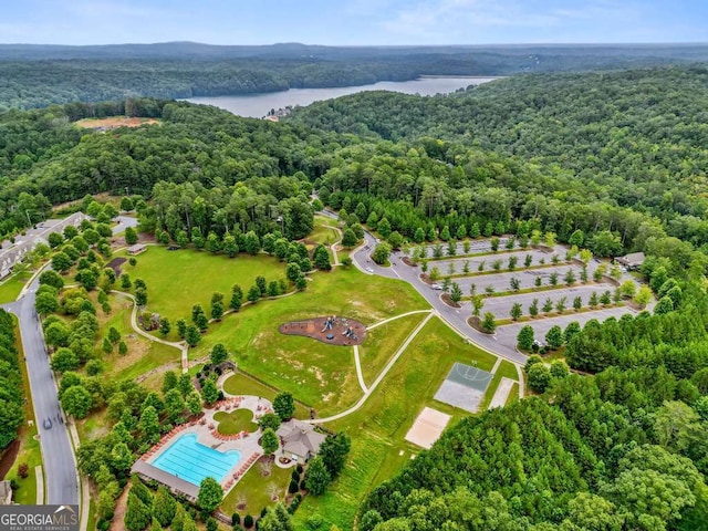 drone / aerial view of a forest and a large body of water