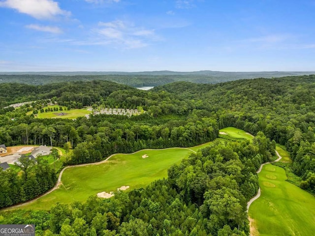 drone / aerial view of a forest and a golf club