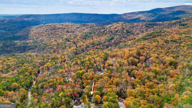 view of mountain backdrop with a heavily wooded area
