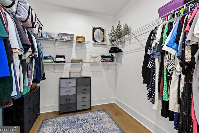 walk in closet featuring wood finished floors