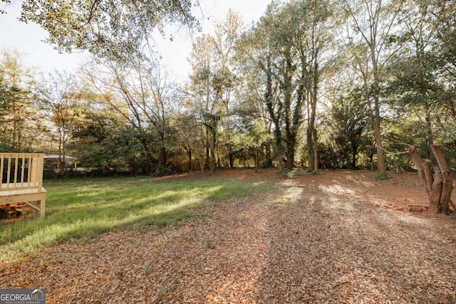 120 Cone Dr, Athens, GA 30601 - view of yard