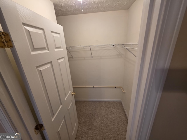 4015 Hidden Hollow Dr, Gainesville, GA 30506 - walk in closet featuring carpet flooring