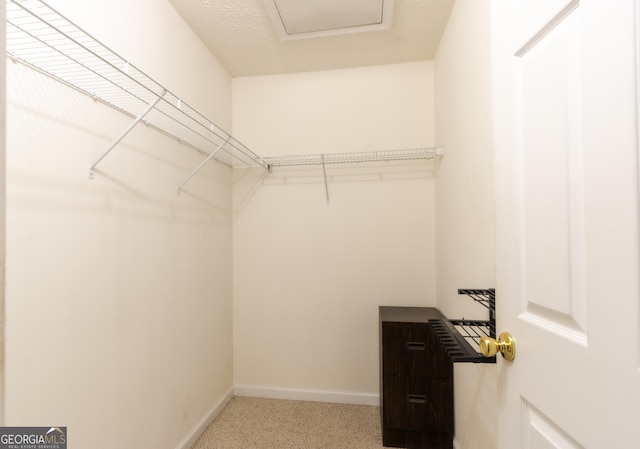 4015 Hidden Hollow Dr, Gainesville, GA 30506 - walk in closet featuring carpet flooring