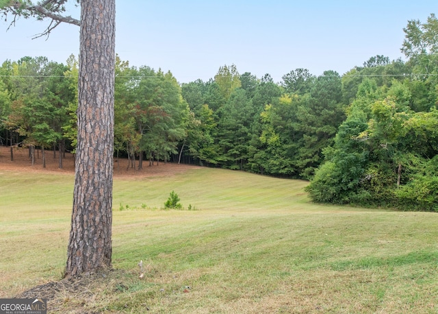 375 Luther Bailey Rd, Senoia, GA 30276 - view of green lawn