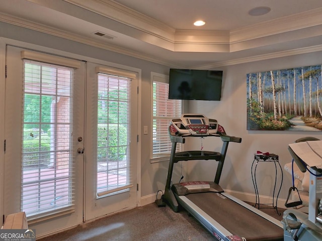 205 Somerset Ct, Mcdonough, GA 30253 - workout area with baseboards, french doors, plenty of natural light, carpet, and crown molding